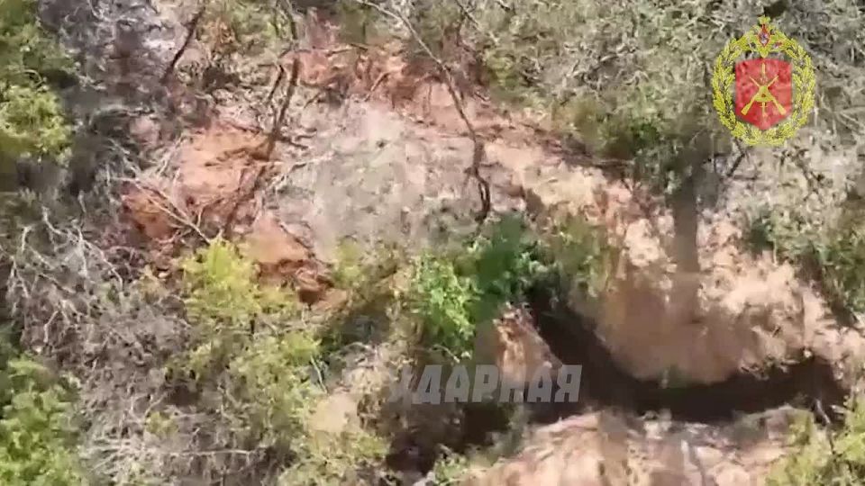 �������������� 2-� �������������� ������� ���������� ����� ���������� ���� ����������