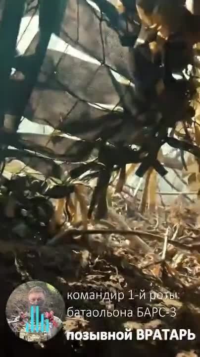 ���� �� ������ � ������� ����