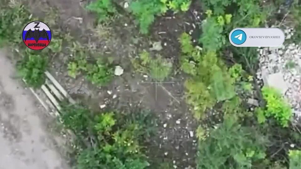 ���� ���������� ���������� �������� ������� �� ����� ������