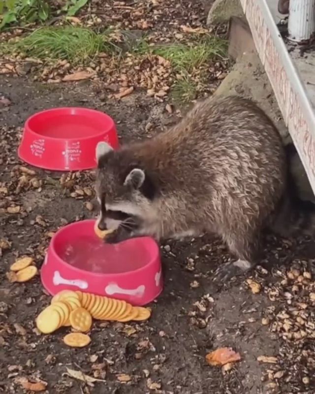 ������ ����, ������! �������� ��� ��� � ��������� ����������!