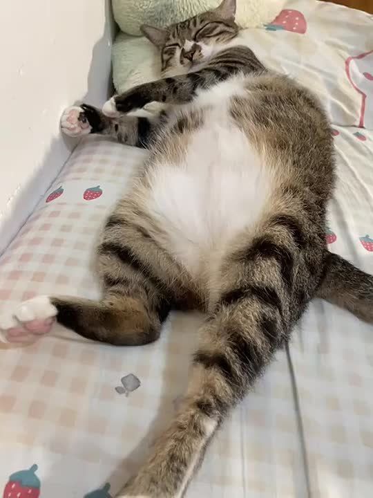 � ��� � ����� �������� ���