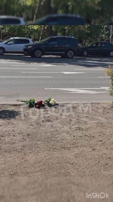 Екатерина Мизулина: Второй день пишут жители Мелитополя