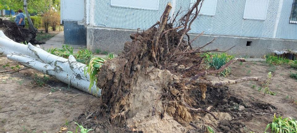 ВСЕРОССИЙСКИЙ ПРИЕМ ГРАЖДАН