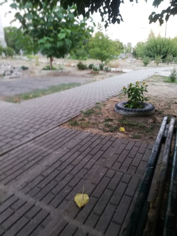 Пусть в момент, когда откроются глаза, откроются и пути к удаче, счастью и везению, и каждое мгновение этого утра сопровождается мощным позитивом, улучшая настроение в сотни раз, придавая сил, мотивации и желания покорить...