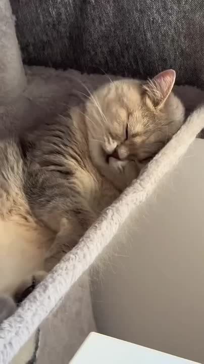 ��� � ���������� ���� ����