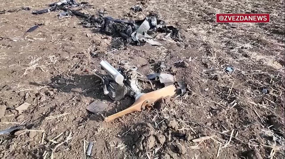���������� 30-������������� ����������� � ��������� �������� ���� ��� ���������� ���������� �� ����������� �����������