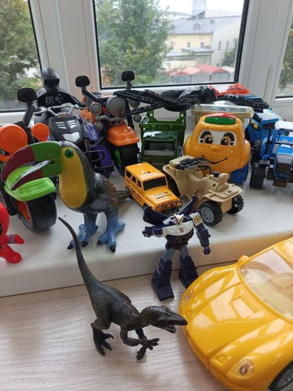 Жители Карелии продолжают приносить игрушки и книги для детей подшефной Васильевки