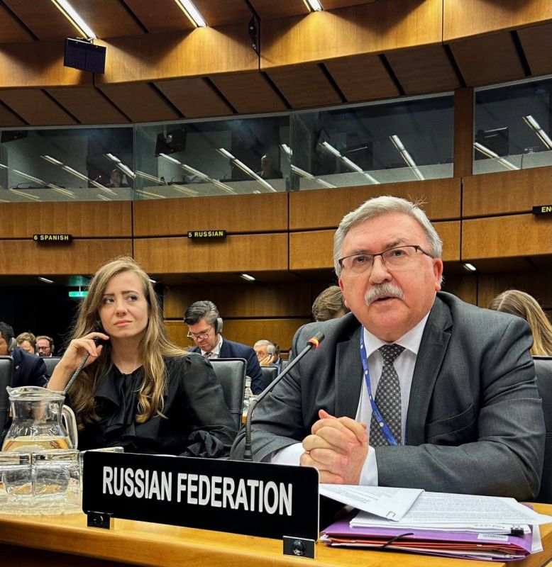 «Замалчивание МАГАТЭ подталкивает Киев к преступлениям против ЗАЭС»