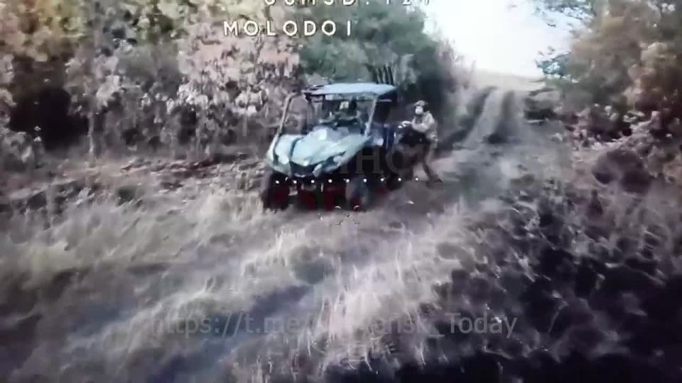��������� �����������. ����������� ���������� ����������