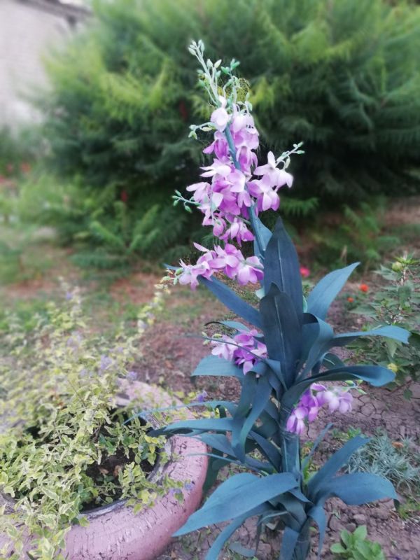 С добрым утром, с наступившим днём!