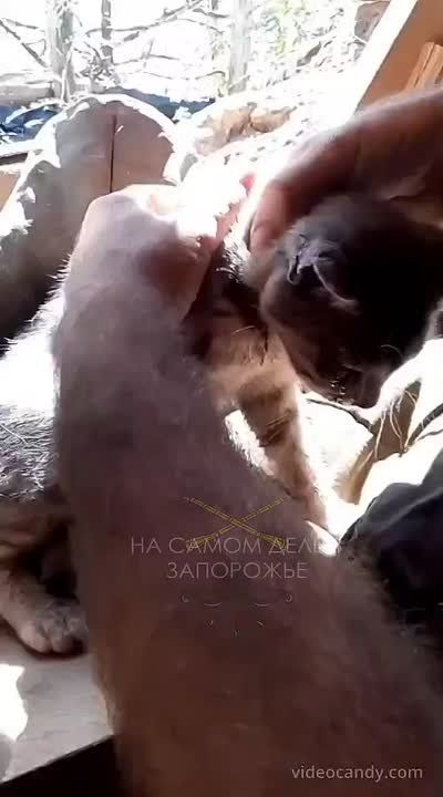 ��� ����� ������ ����� �� ������