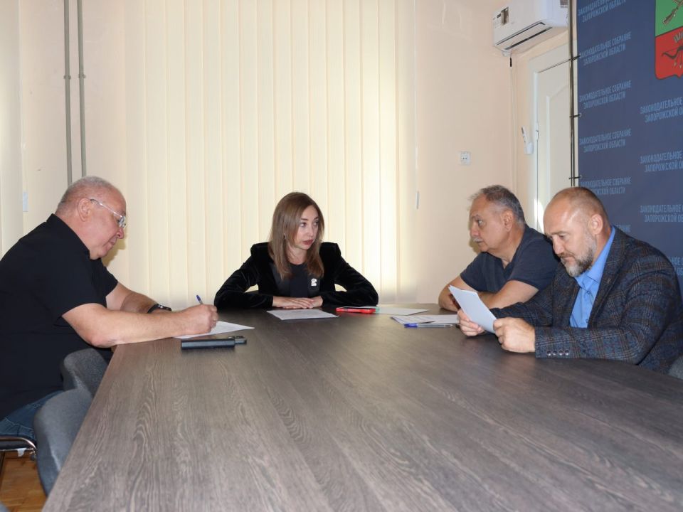 Под председательством Дарьи Суроткиной состоялось заседание Комитета Законодательного Собрания Запорожской области по бюджету и экономической политике