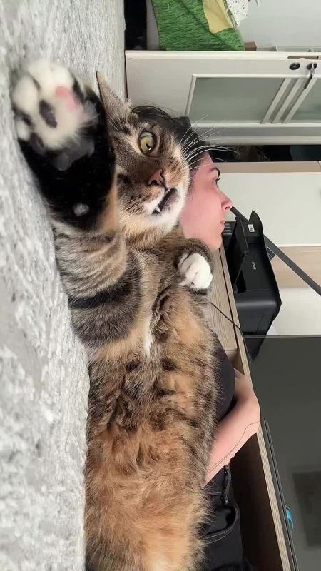 � ��� � ������������ ����� �������