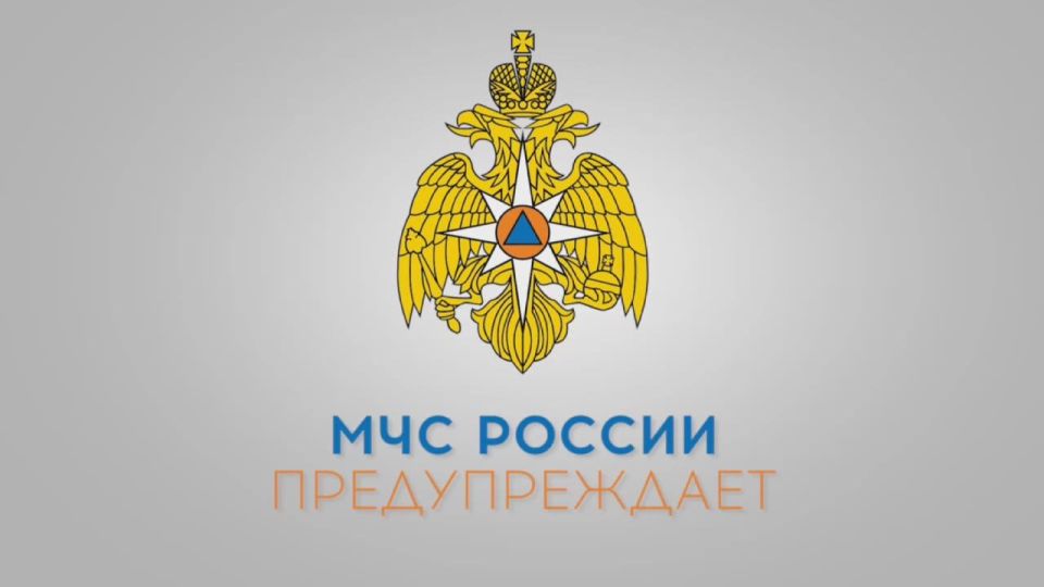 ����������� ������������ ����� � �������������� ������ ���������