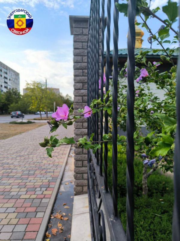 � ������ �����!. ������ ��� �������� ��������, ������� ������� �������, ����� �������� �����, �������� �������� ����� � ������������, �������� ������� �� ����� �����������, �������� ����� ���� � ������! ����� ��������� ����...