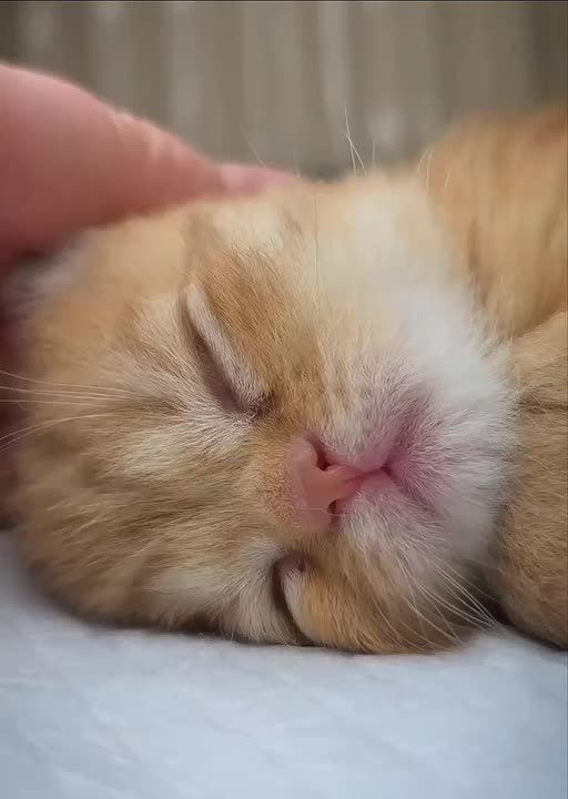 �������� ����� ����������� ���������