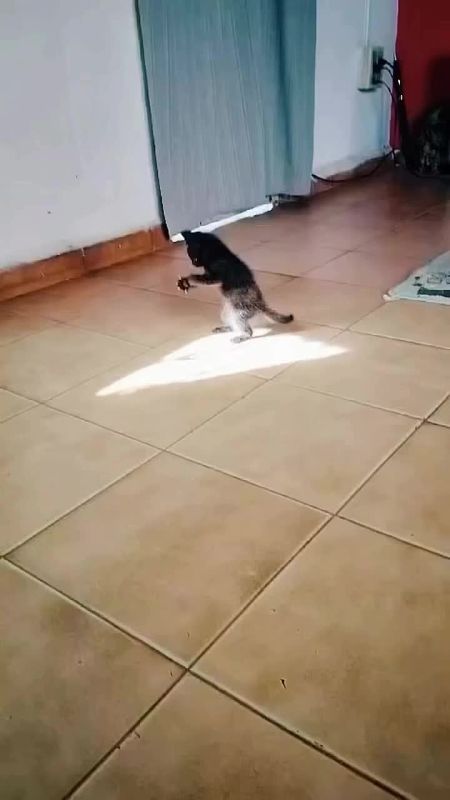 � ��� � ��������. �������� ��������� ������� � ��������