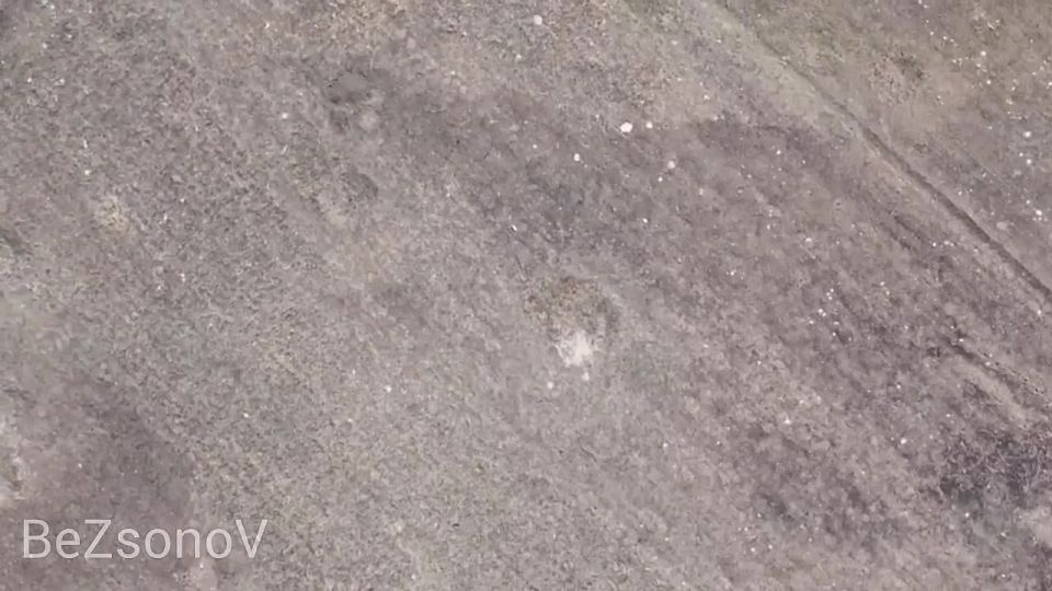 Даниил Безсонов: Кадры активной и беспрерывной работы наших подразделений БПЛА на Запорожском направлении