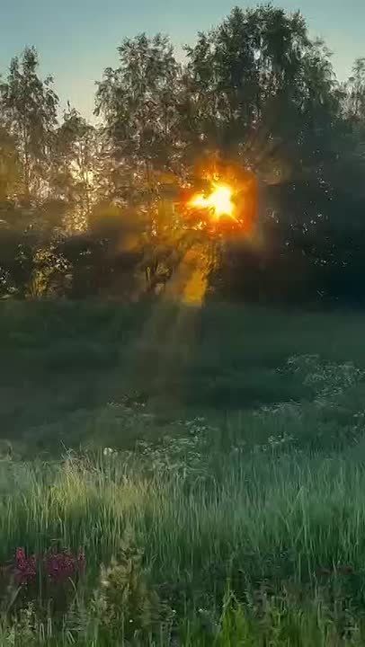 ������ ����! ������� ����������� � ����, ����� ����� ��������� ���� ���� ������ �����������, ������ � ������ � ����