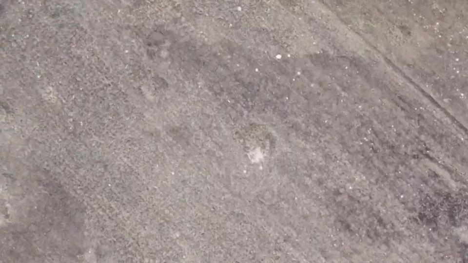 ����� FPV-������ �� ���������
