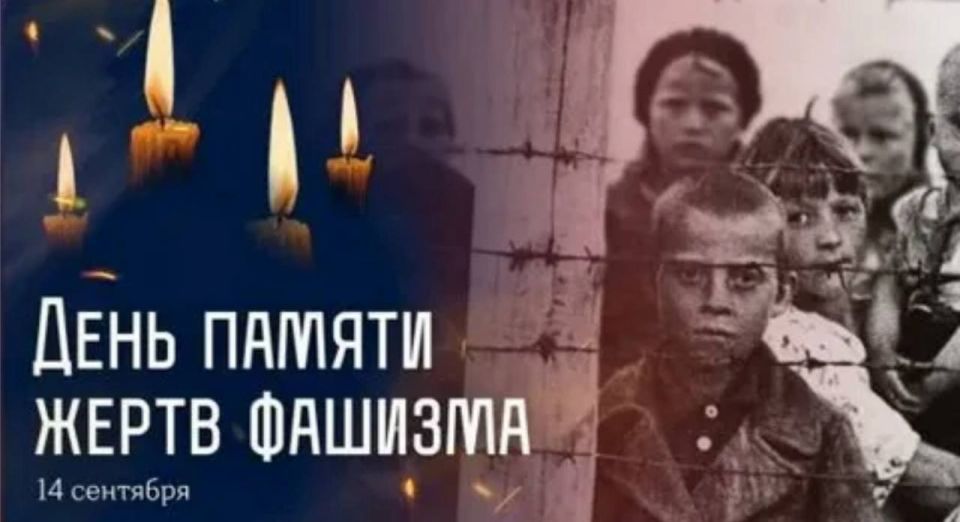  : ,     ,        ,     ,    