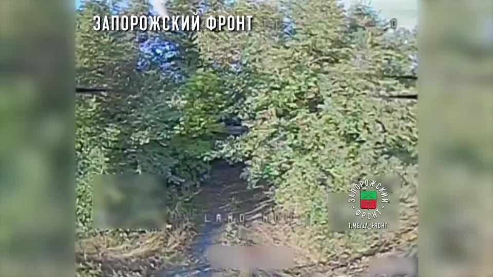 ������ ���� ������� ���������� � ������� FPV-������ "��-40" ���� "����" ���