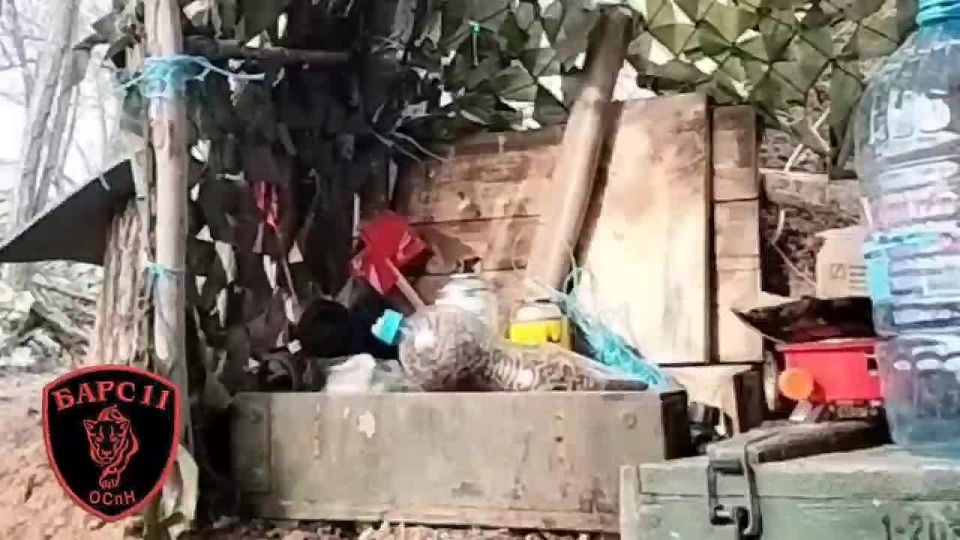 Анна Хорошун: Эта песня, рожденная в самом сердце боевых действий, передает мысли и чувства бойцов отряда «БАРС-11», сражающихся на Запорожском фронте