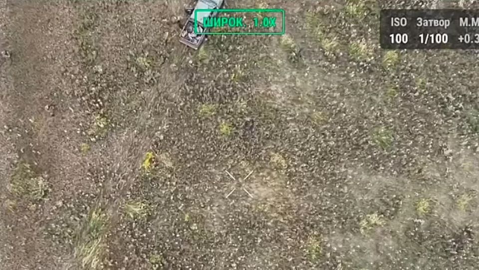 ������ ������ ������� ����� �� ��� ������