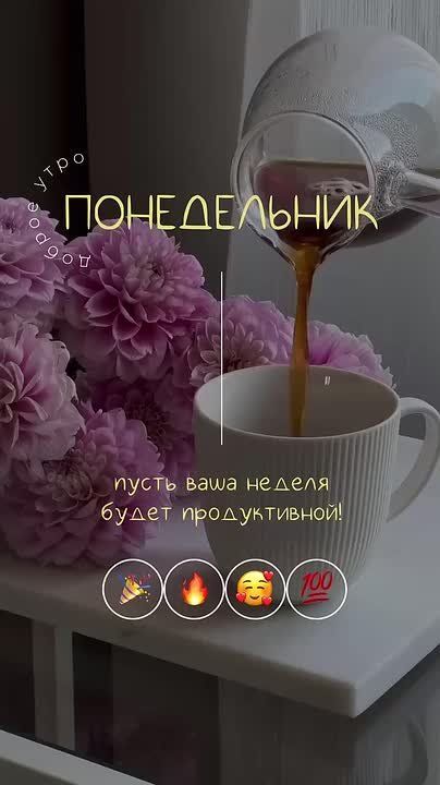 Доброе утро Днепрорудное!. Сегодня, 15 сентября 2025 года в Днепрорудном ясно, без осадков