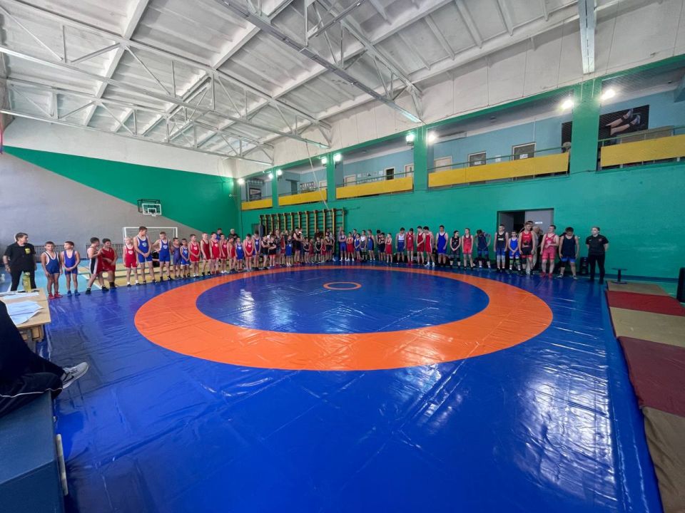 13  2025          1 , .    &quot;         2009-2017 ..,  ...