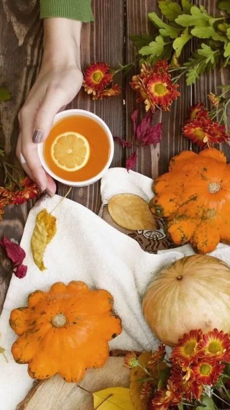 16 сентября 2025 год