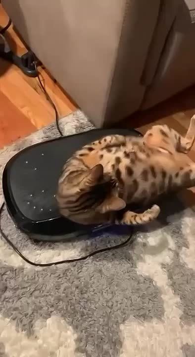 ���� ������� �������. ����� �������� ��� ������ ������ ���������