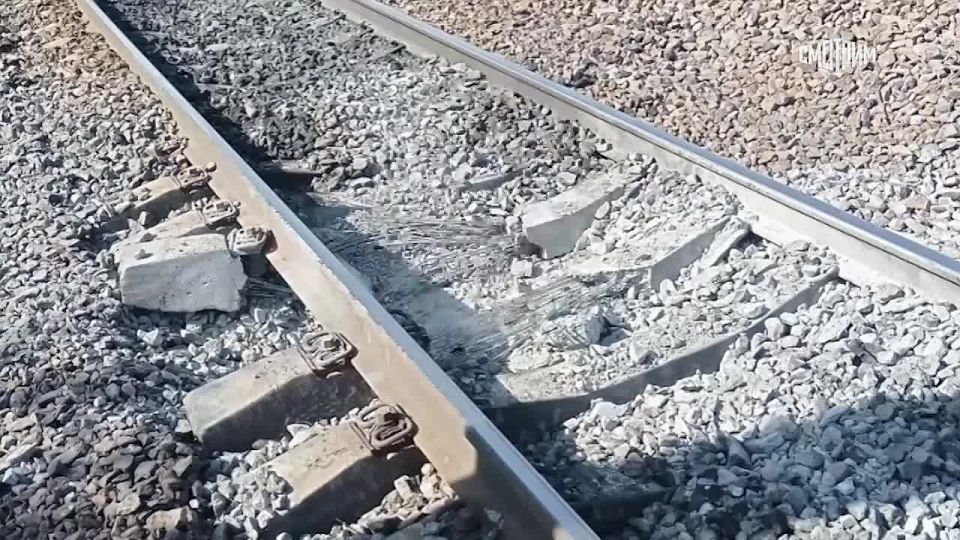 Владимир Рогов: Агент ЗеРейха - террорист получит по заслугам