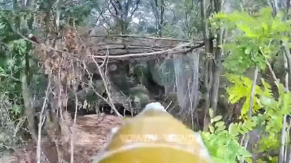 ��������� 38 ������� ��������� � ����� ���������� ���� � ����������� �������