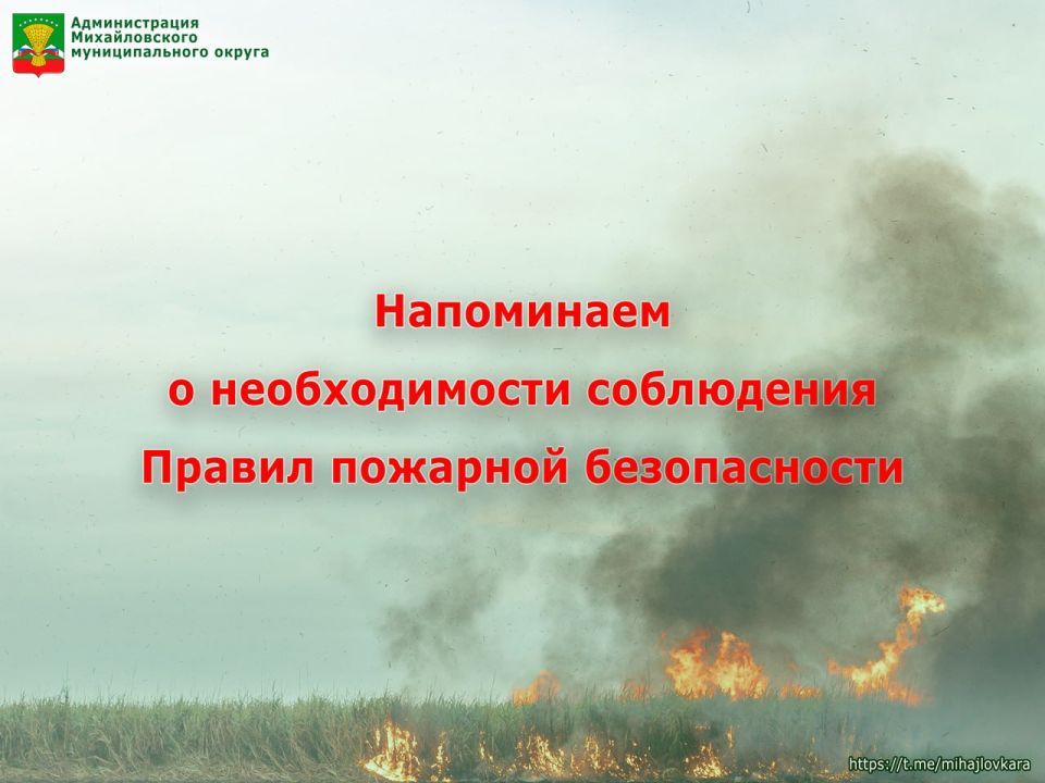 ������������� ������������� ������ ���������� � �������� �������� ������������