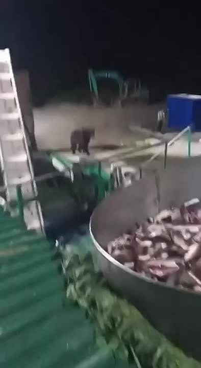� ��������� ������� ������, ����������� �������!
