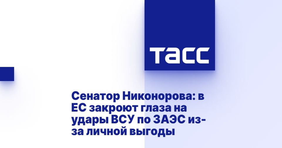 Сенатор Никонорова: в ЕС закроют глаза на удары ВСУ по ЗАЭС из-за личной выгоды