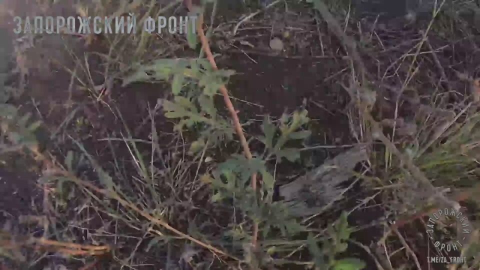 ����� � GoPro: ���� ����� ������ ��� ����� FPV-������ �� �������� �������, ��� ������� ������ �� ����, ������������ ���� � ��������������