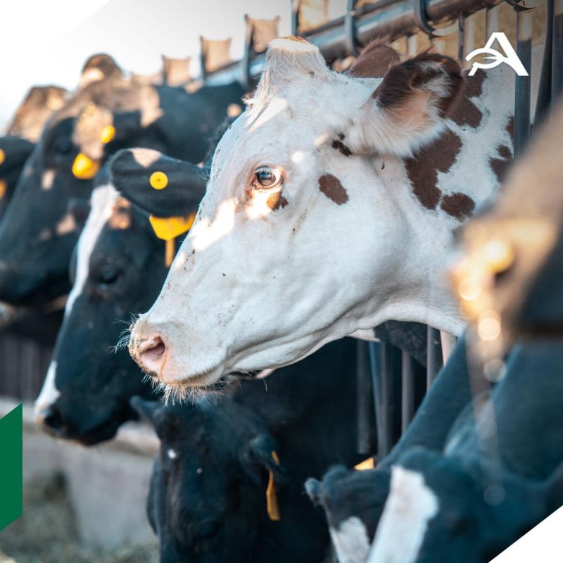 ������� �������� ������� ������� �� ��������� � ������ ���������������