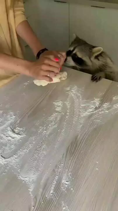 ������ ����, ������! �������� ��� ��� � ��������� ����������!