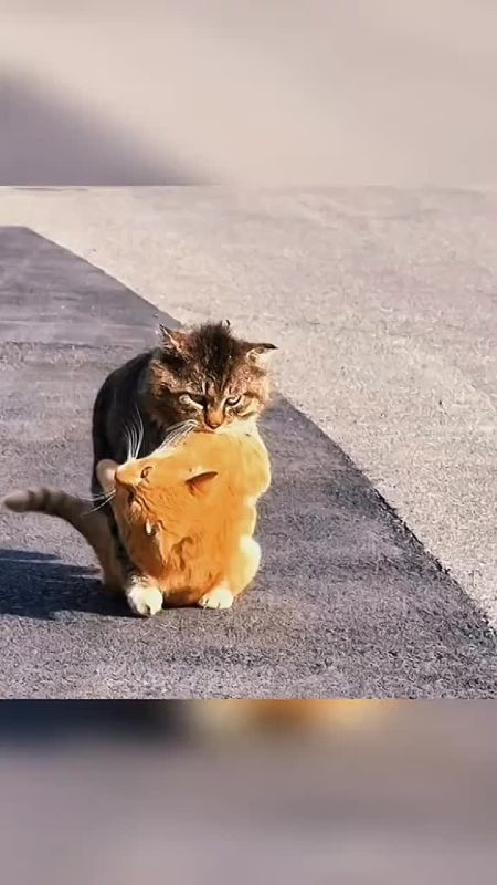 ������ ����� � � ���� �� ������ ���� �� �����