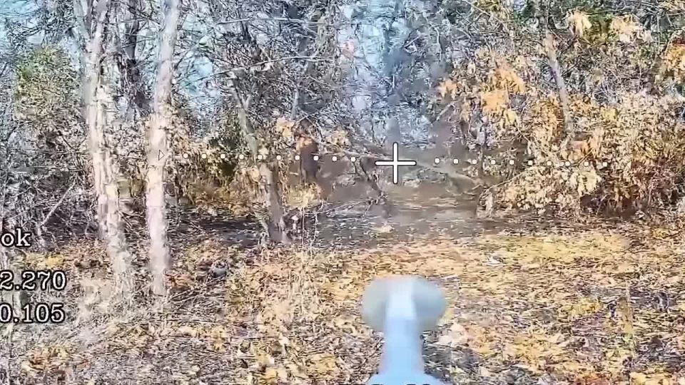 ���������� ��������� ���������� ������� � ������ ������ ��� � ����������� �������
