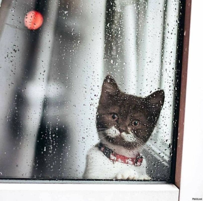 За окошком дождь осенний плачет, Непогода в гости к нам пришла