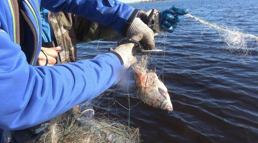 В Запорожской области поймали браконьеров