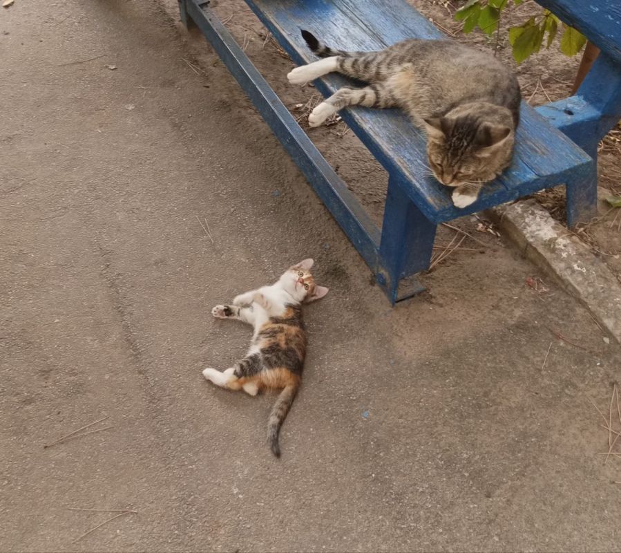 Желаем вам доброго утра! Пусть новый день начинается легко и с прекрасным настроением! Желаем безоблачного дня, достижения поставленных целей, комфорта и радости!