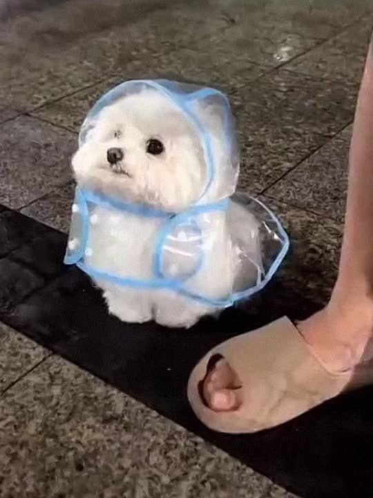 ������ ����, ������! ����� �� ����� �� ������� ��������