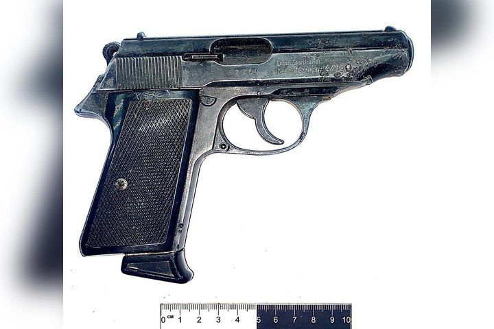 Житель Акимовского района прятал в пчелином улье пистолет для защиты от животных