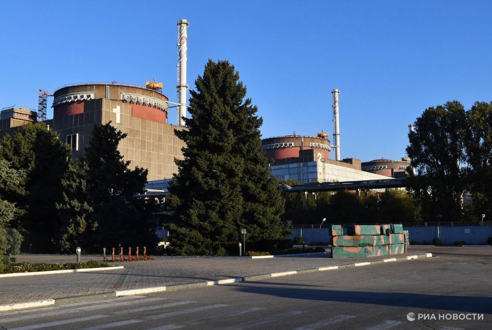 В Госдуме назвали резолюцию МАГАТЭ по Запорожской АЭС опасной