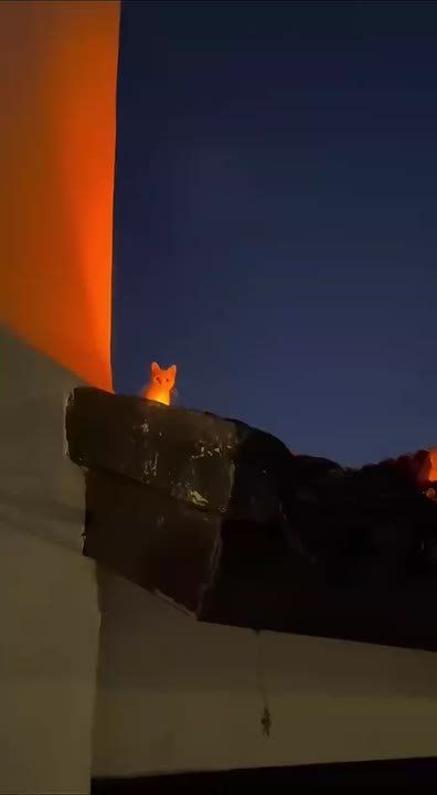 ����� ������� ��������� ���������