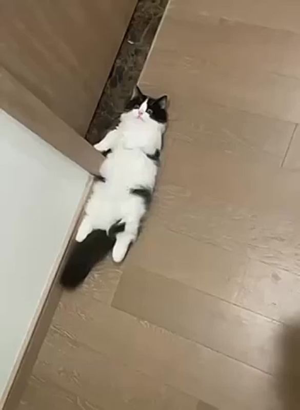 � �������� ��������. ������ ������ �� ��� ������� �����